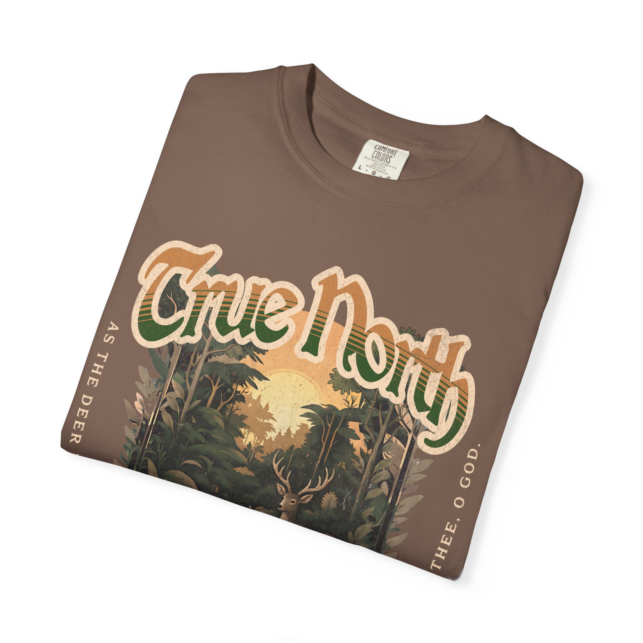 TRUE NORTH Comfort Colors Tee | Psalm 42:1 - Image 11